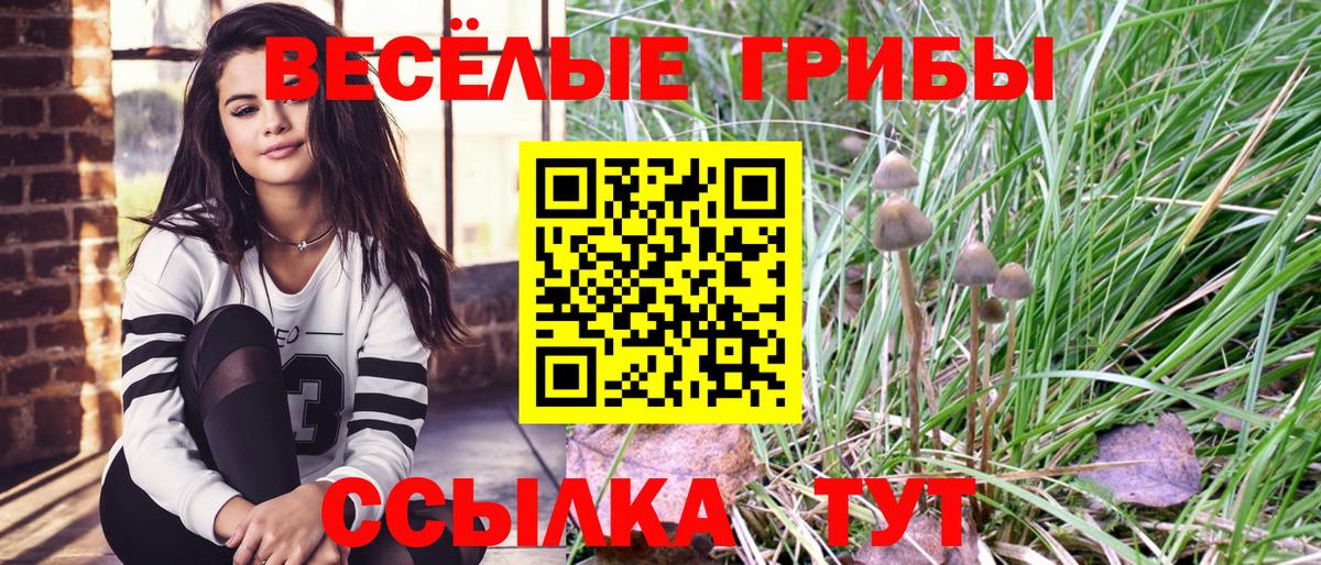 Галлюциногенные грибы мухоморы  Галлюциногенные грибы GOLDEN TEACHER  Норильск  Вход с VPN 