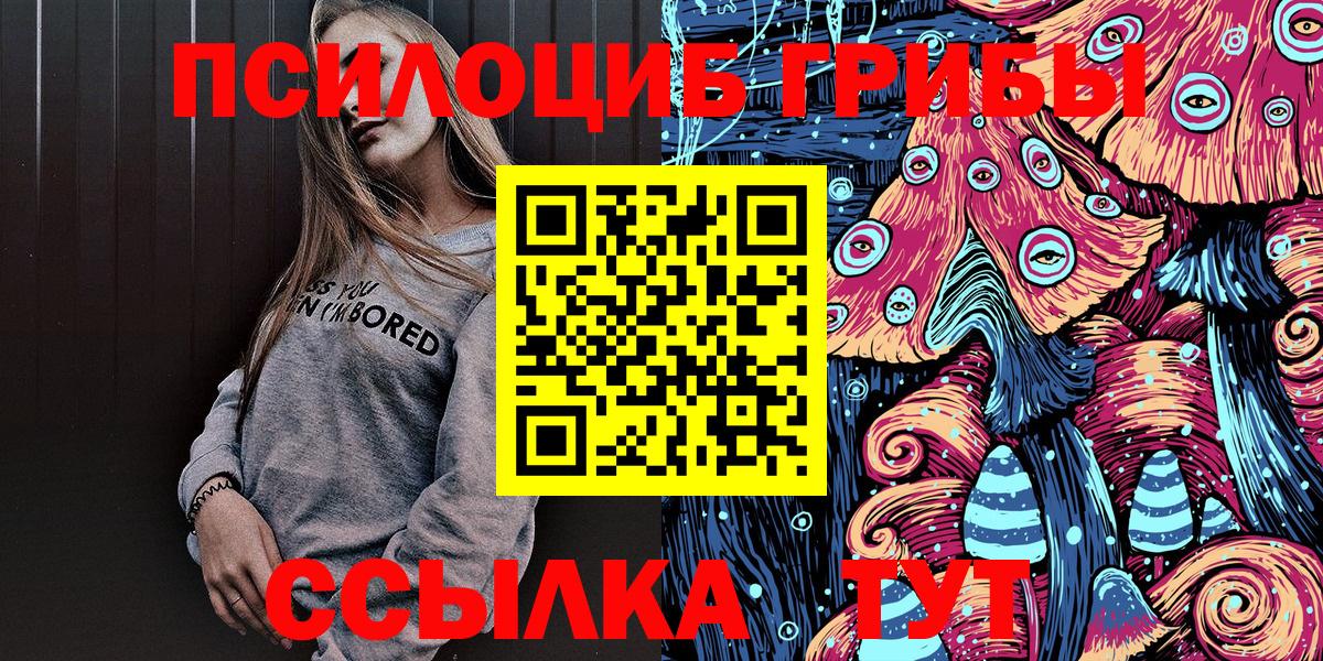 Галлюциногенные грибы Psilocybine cubensis Норильск